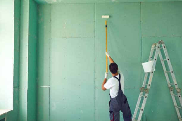 Mold Removal for HVAC Installations in Pasadena, MD