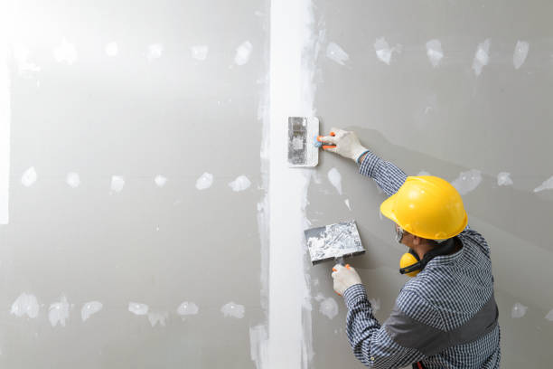 Best Mold Damage Restoration  in Pasadena, MD