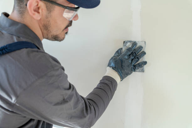 Best Environmental Consulting for Mold Prevention  in Pasadena, MD