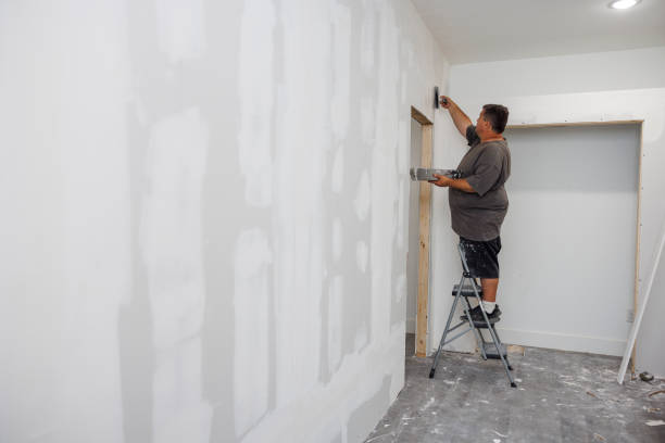 Best Mold Odor Removal Services  in Pasadena, MD