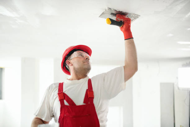 Best Real Estate Mold Inspection  in Pasadena, MD