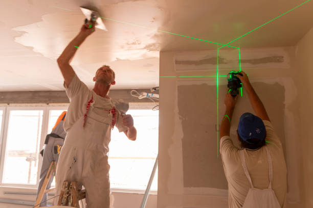 Best Mold Damage Restoration  in Pasadena, MD