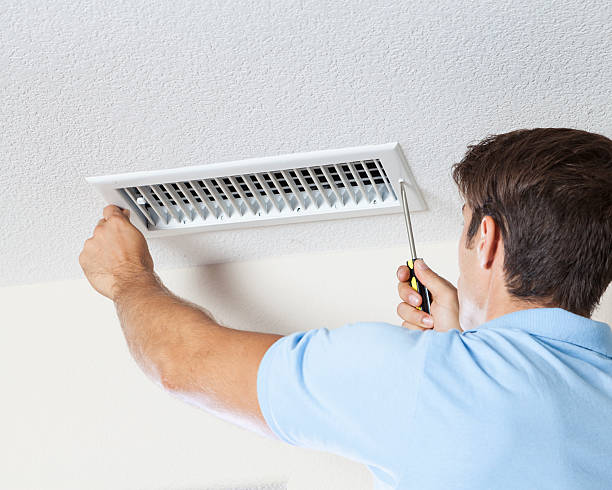 Best Mold Documentation for Insurance Claims  in Pasadena, MD