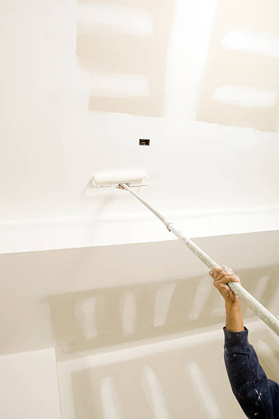 Trusted Pasadena, MD Mold Removal Experts